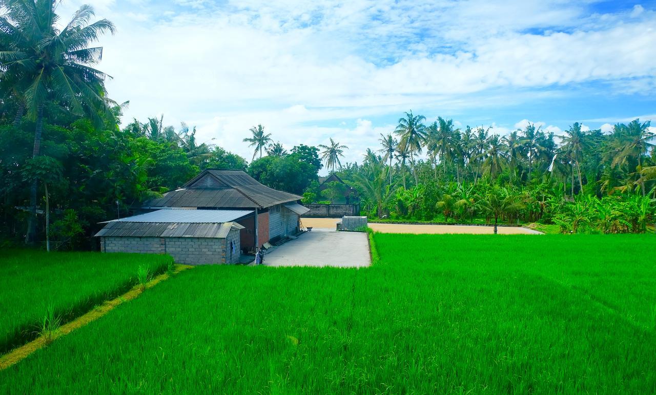 Wiki Bali Hotel Ubud Kültér fotó